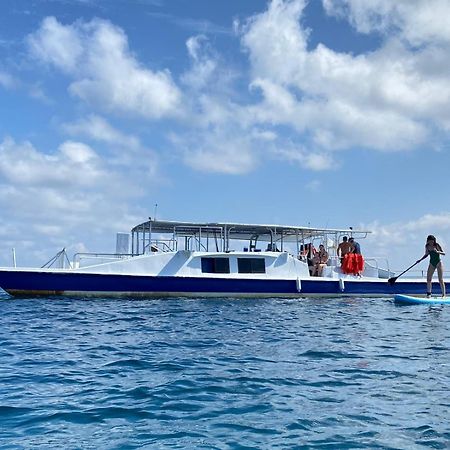 Pirate Drake Beach Hostel & Tour Company Drakes Bay Εξωτερικό φωτογραφία