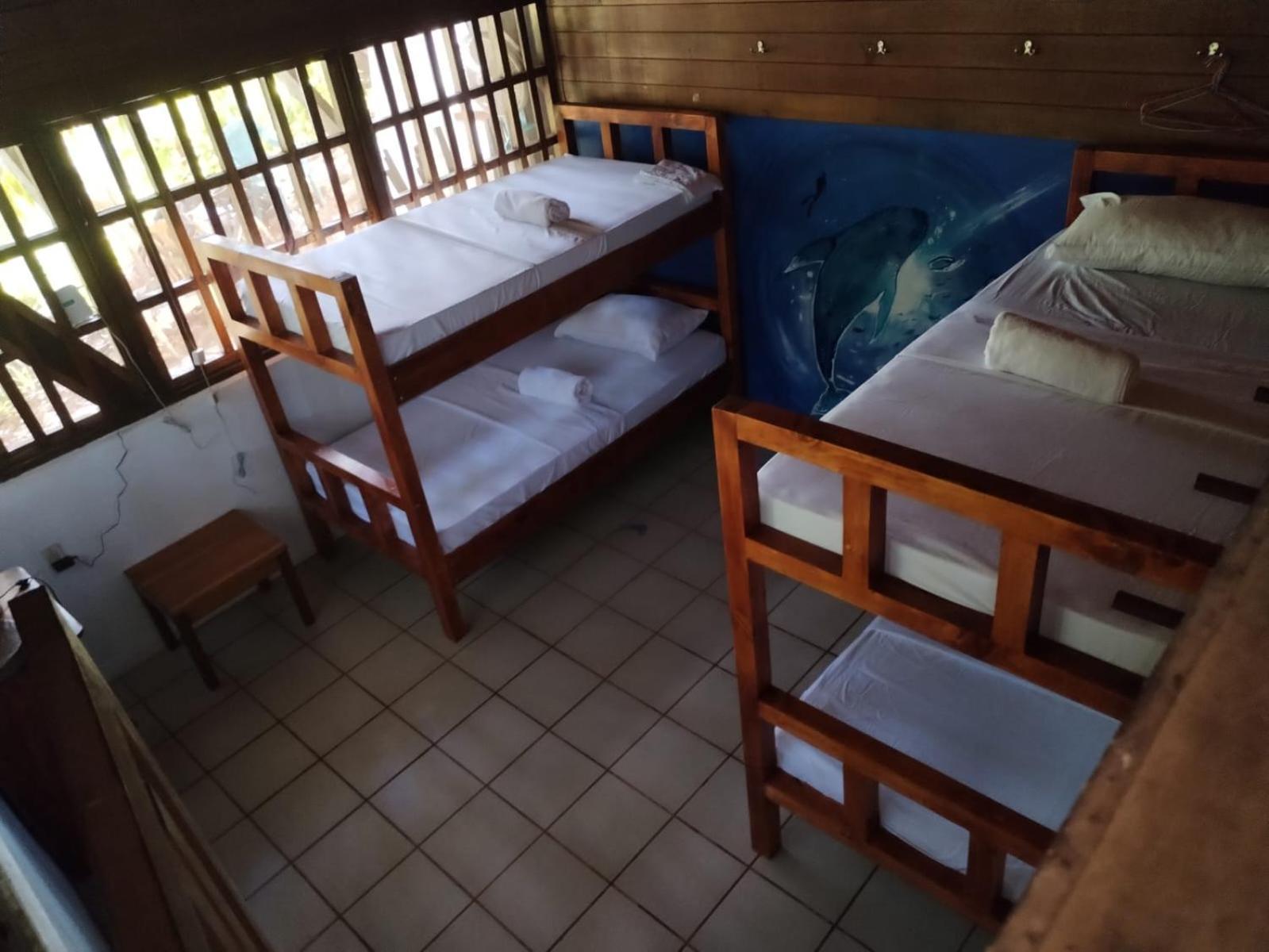 Pirate Drake Beach Hostel & Tour Company Drakes Bay Εξωτερικό φωτογραφία